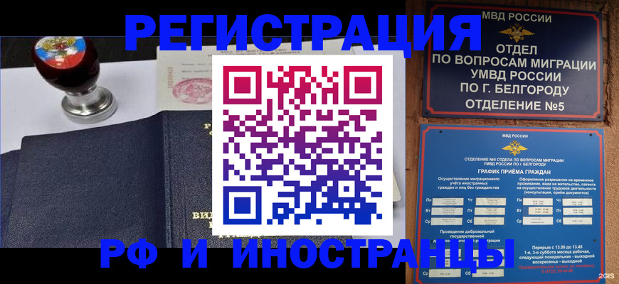 временная регистрация поиск в Шали